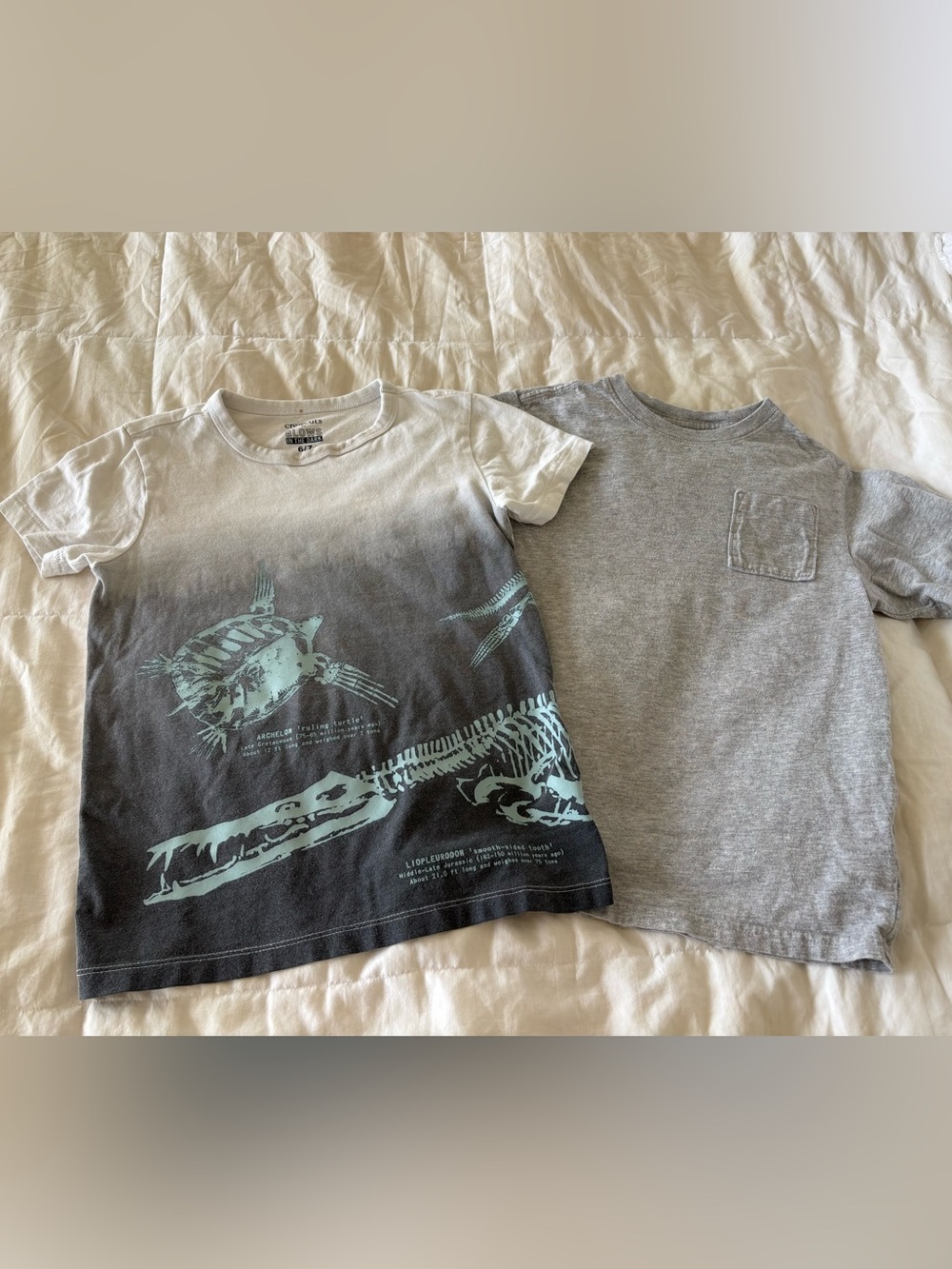 Crewcuts Boys Glow Dinosaur T-Shirt Set Size 6/7 
Wonder nation small 6/7 grey